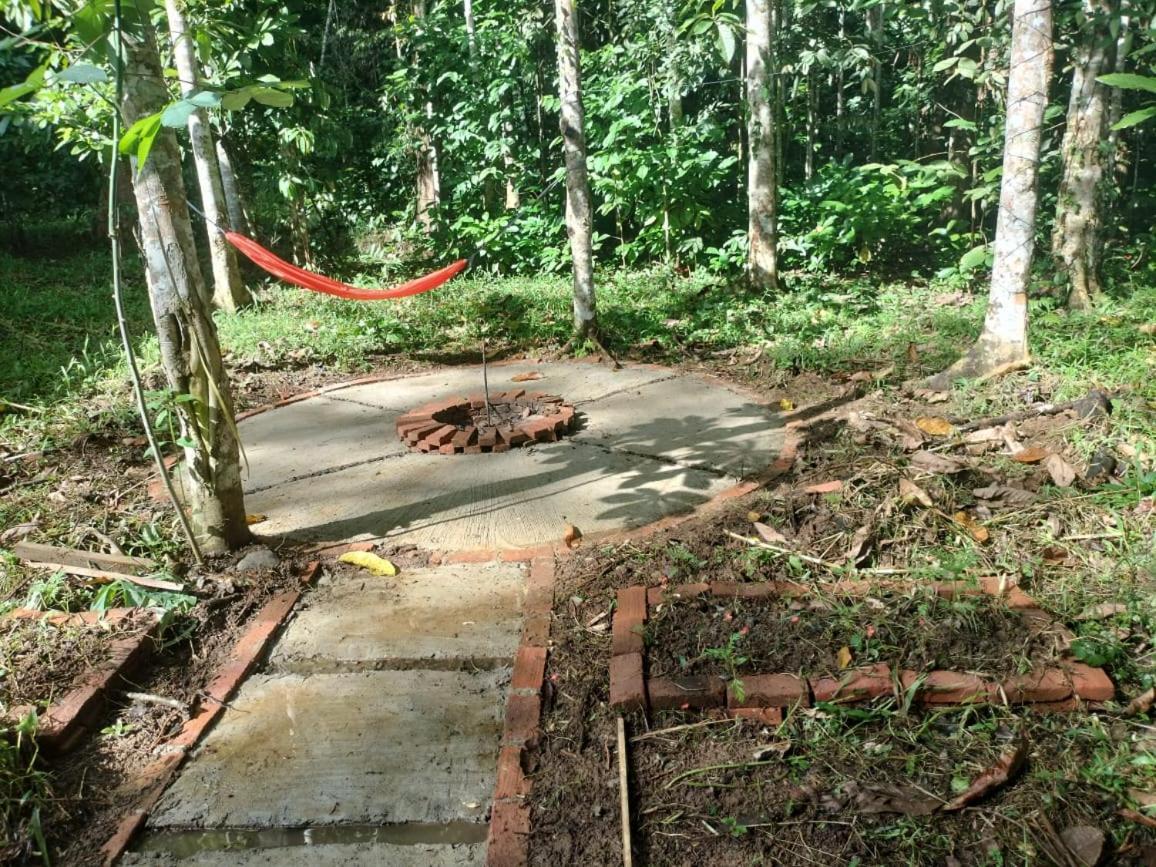 Sugi House Toraja - Penginapan Villa Harian Keluarga -Muat 20 Orang ランテパオ エクステリア 写真